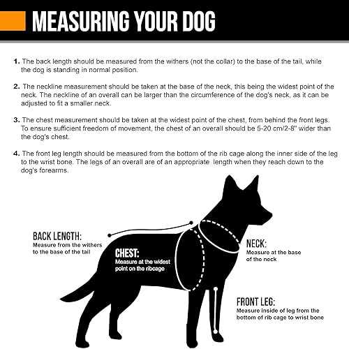 Padded Dog Y Harness G13449