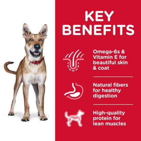 Chicken & Barley Recipe Dry Dog Food A726896