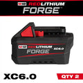 18V Lithium-Ion 6.0 Ah Battery Pack 2-Pack D377674