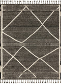 Beige Charcoal 9'6 x 13'6 Rug X22250