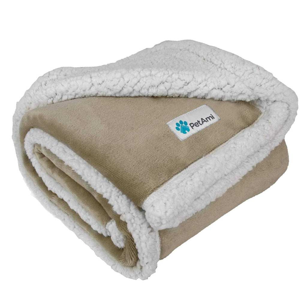 Dog Blanket Q400