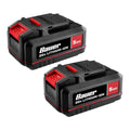 20V 5 Ah Lithium-Ion Battery 2-Pack D3006