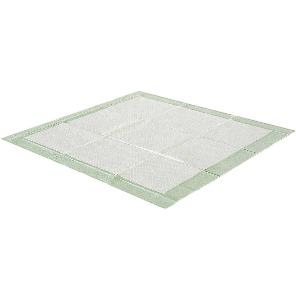 XL Unscented Dog Training Pads C92371