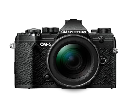 Black Mirrorless Camera Z2281
