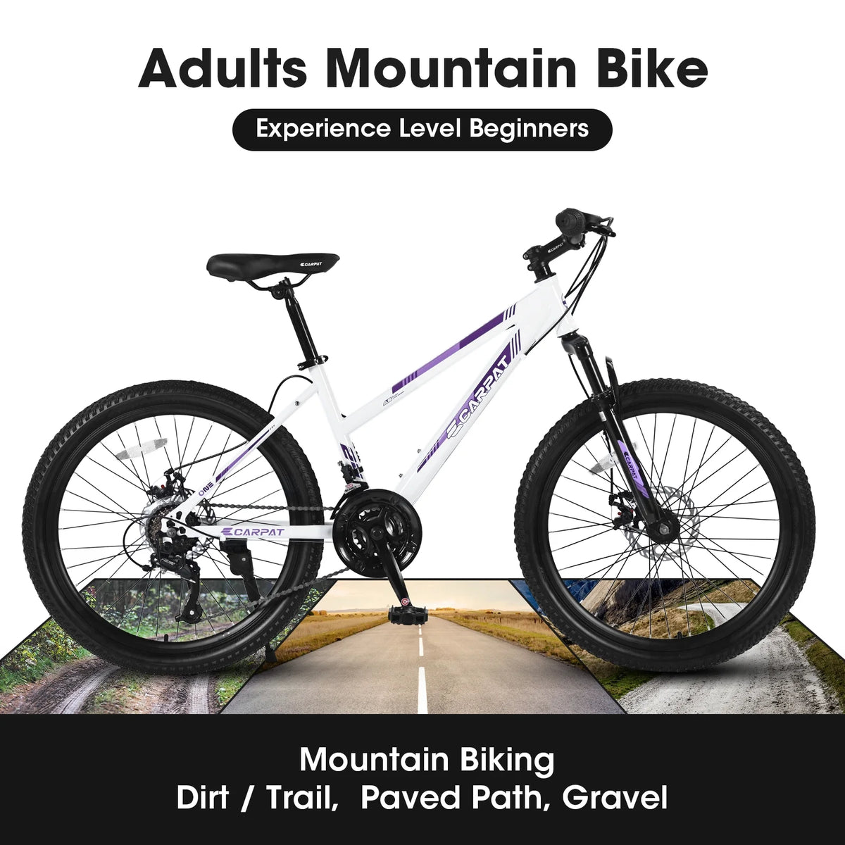 26 inch 21 Speeds Mountain Bike with Dual Disc Brakes J6374
