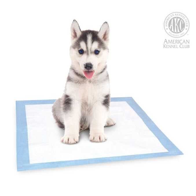 Puppy Training Pads Y966158