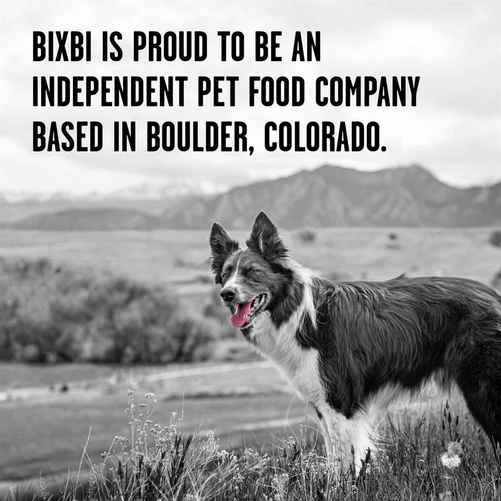 Chicken Recipe Dry Dog Food M974