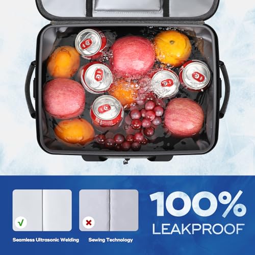 Collapsible Insulated Cooler Bag E680866