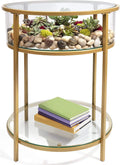 Round Terrarium Display End Table with Reinforced Glass R576