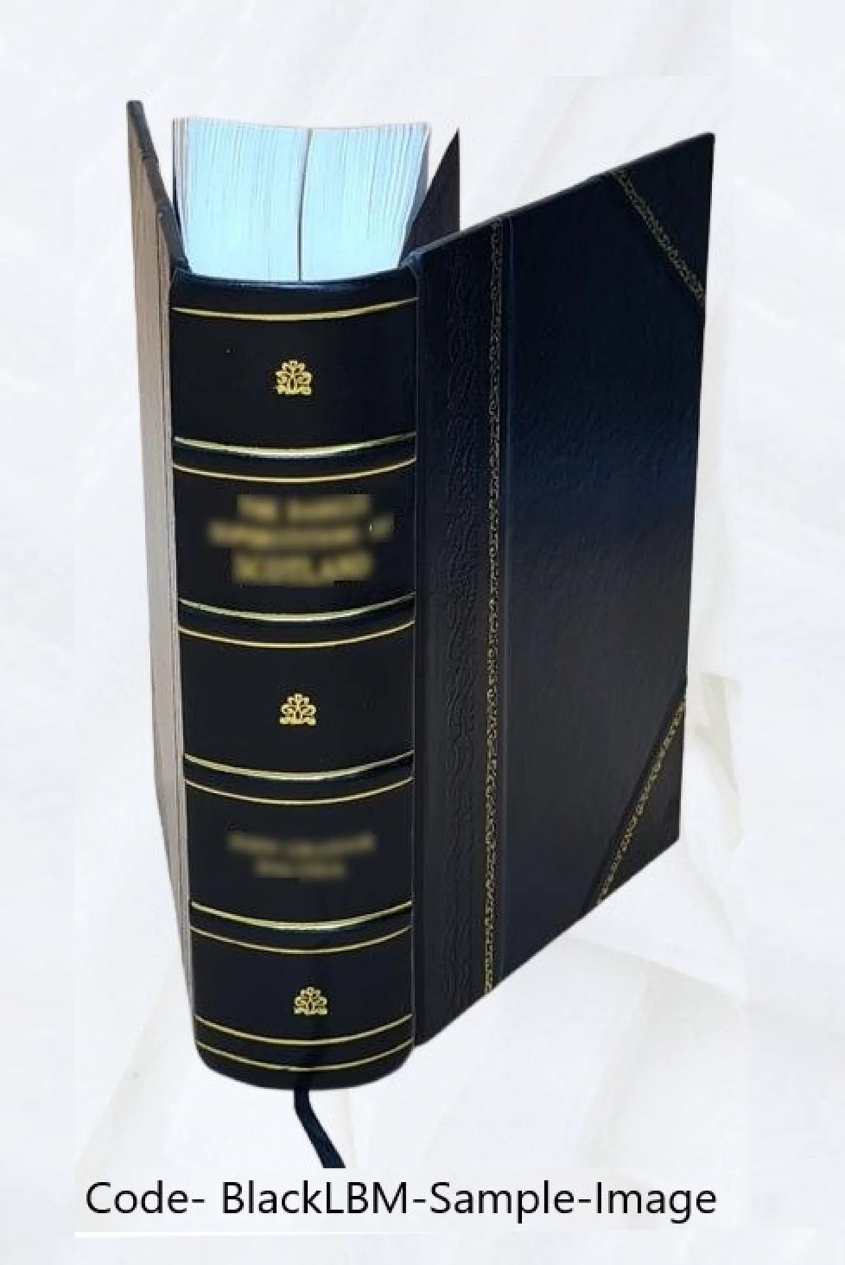 Therapeutics Handbook O206