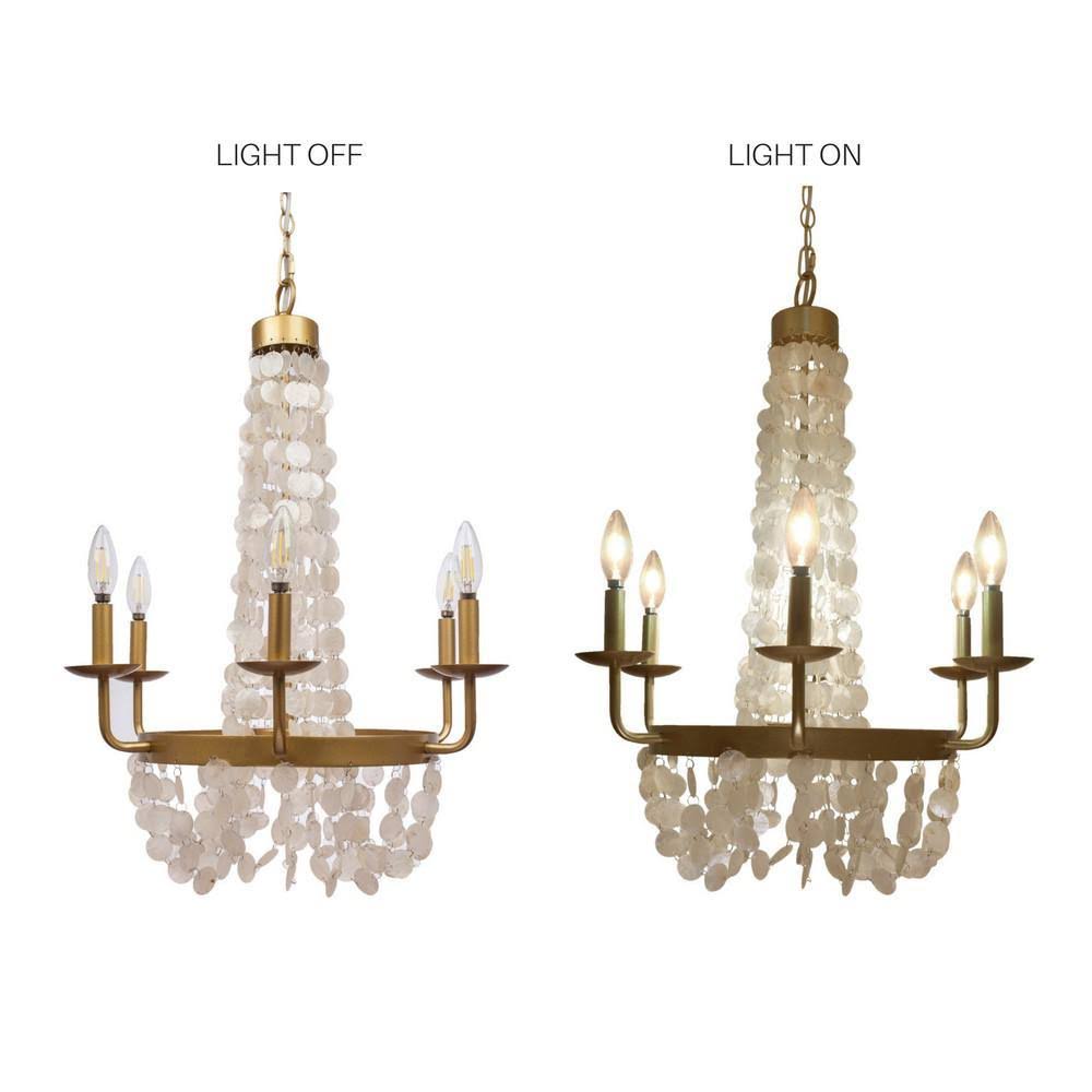 6 Arm Candelabra Chandelier Y359