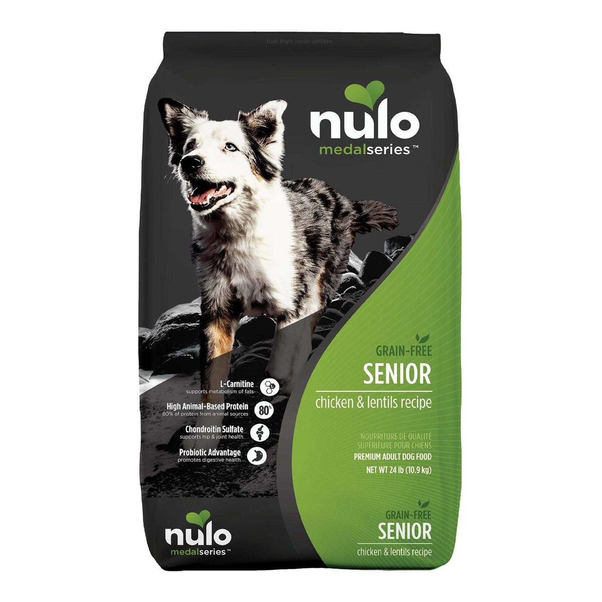 Senior Dry Dog Food U975241