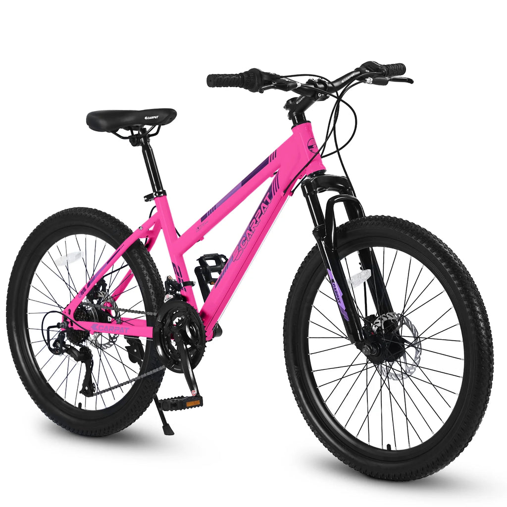 26 inch 21 Speeds Mountain Bike with Dual Disc Brakes J6374