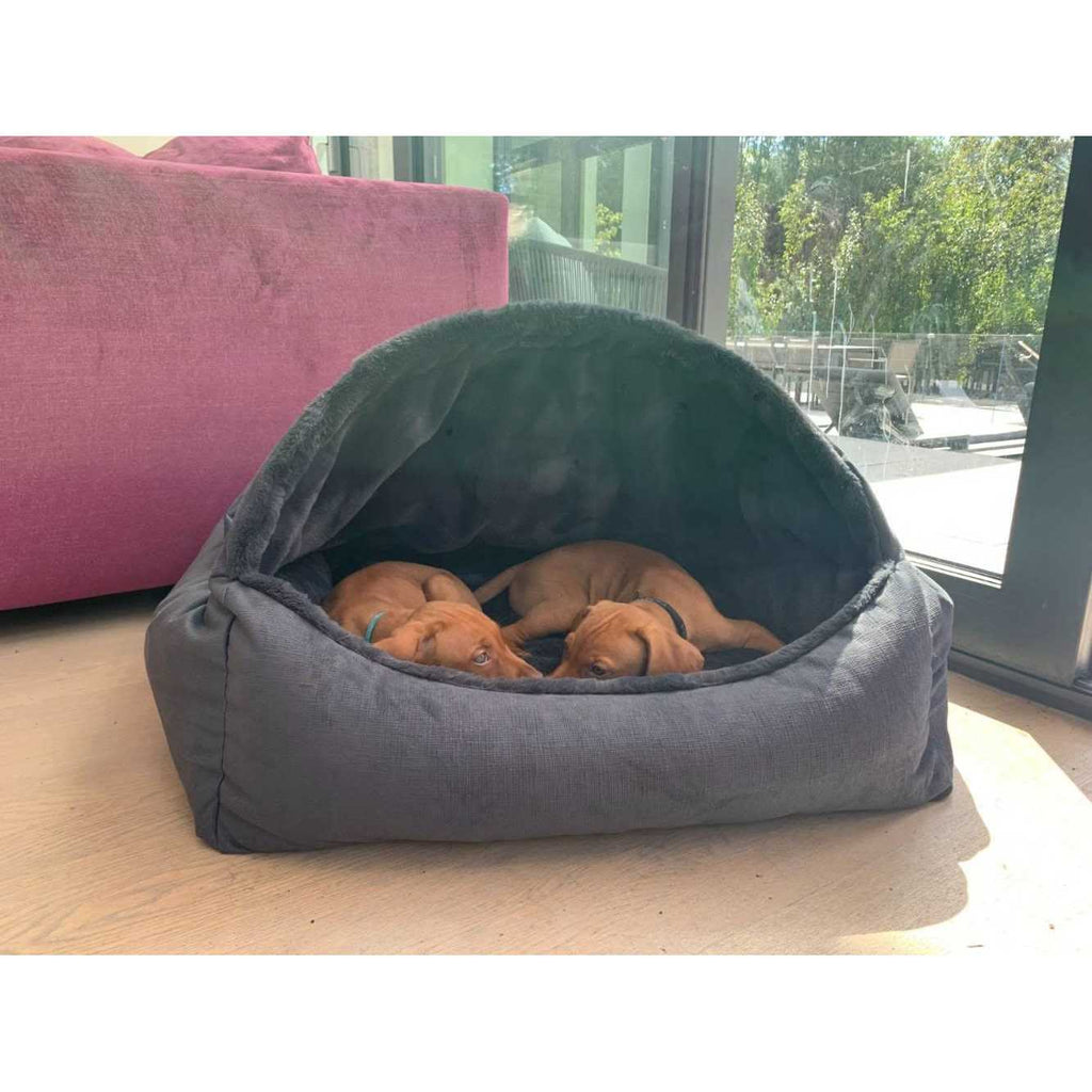 Canopy Dog Bed R1047