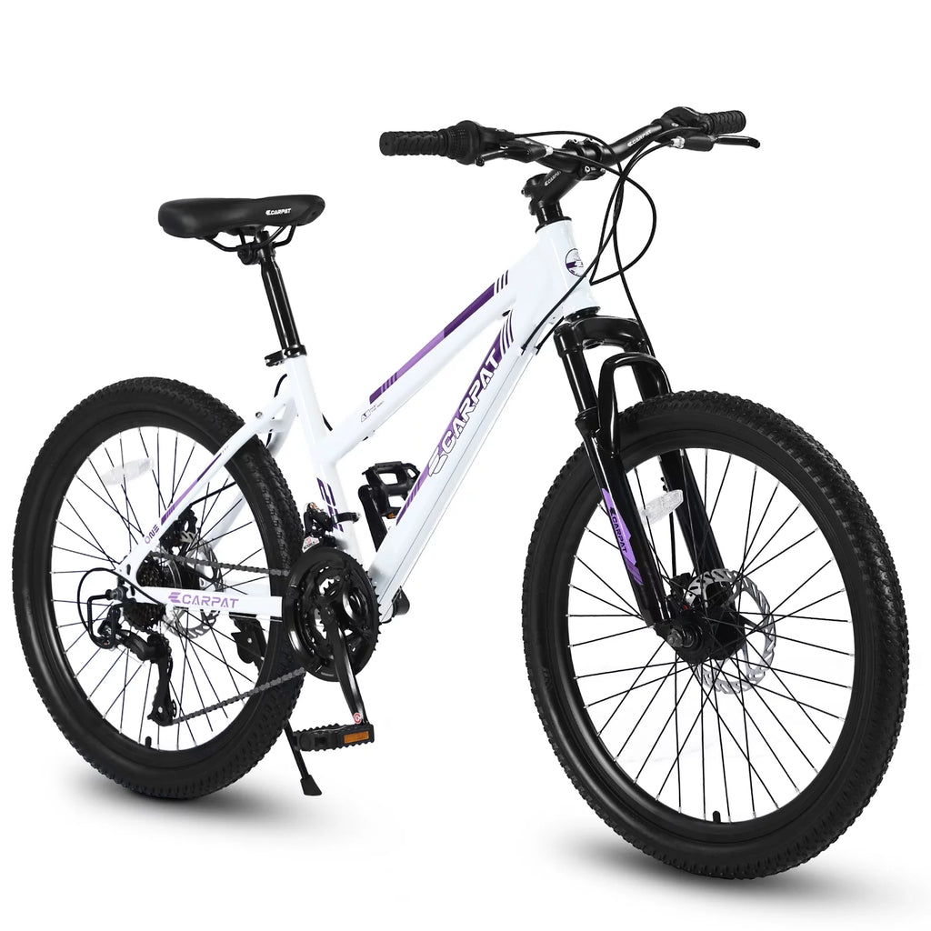 26 inch 21 Speeds Mountain Bike with Dual Disc Brakes J6374