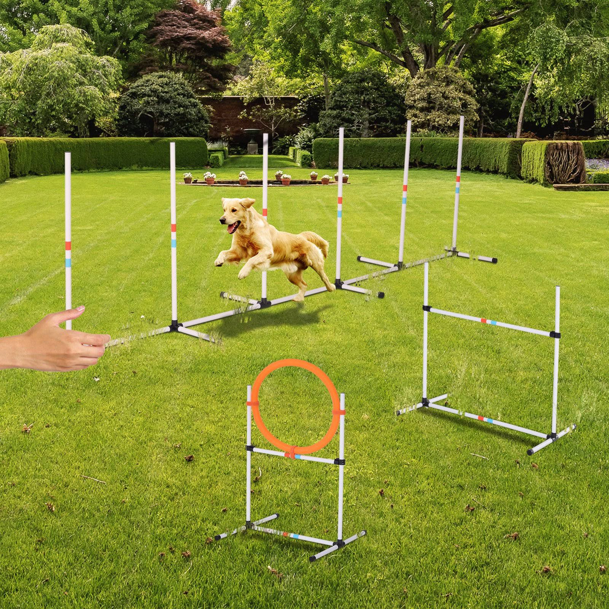 Portable Pet Agility Training Set with Carry Bag V550419