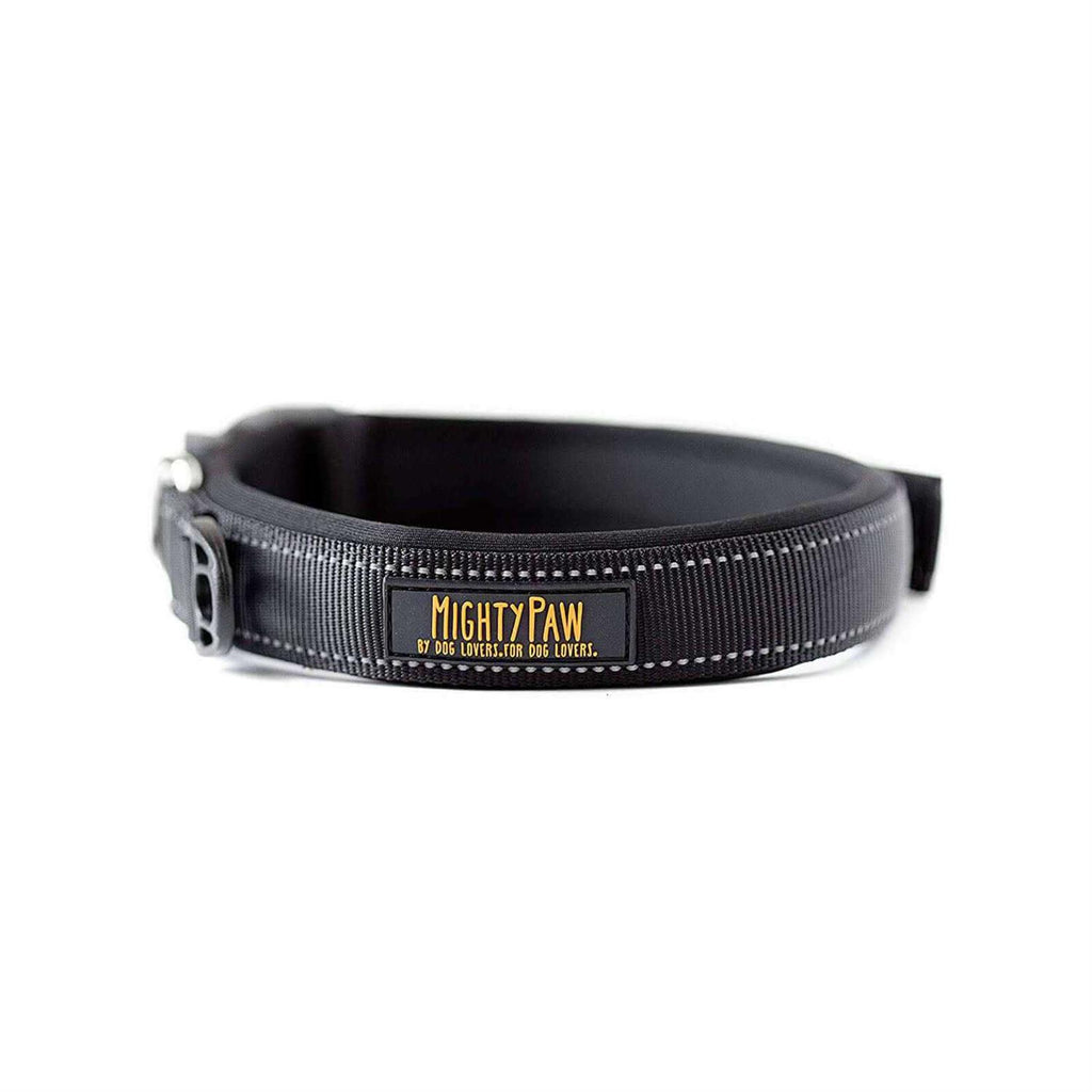Dog Collar R717366