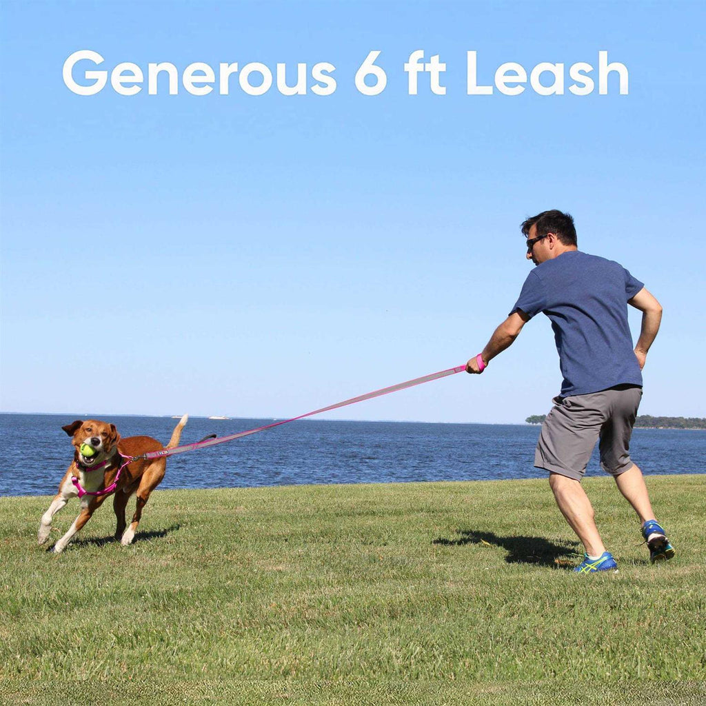 6 ft Dog Leash Z3953