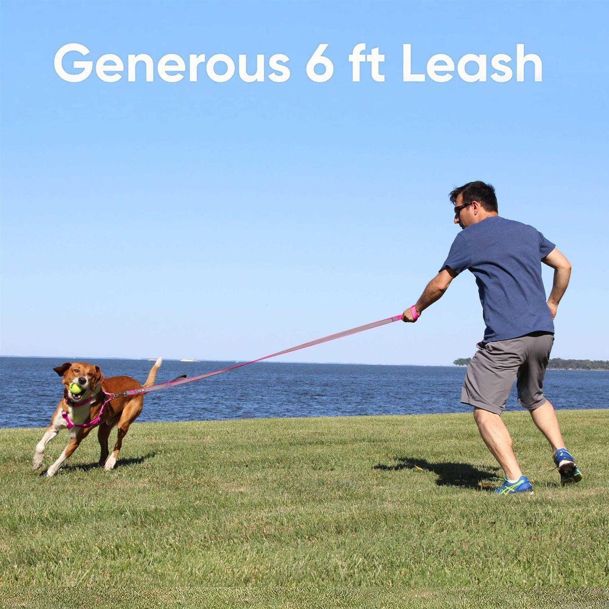6 ft Dog Leash Z3953