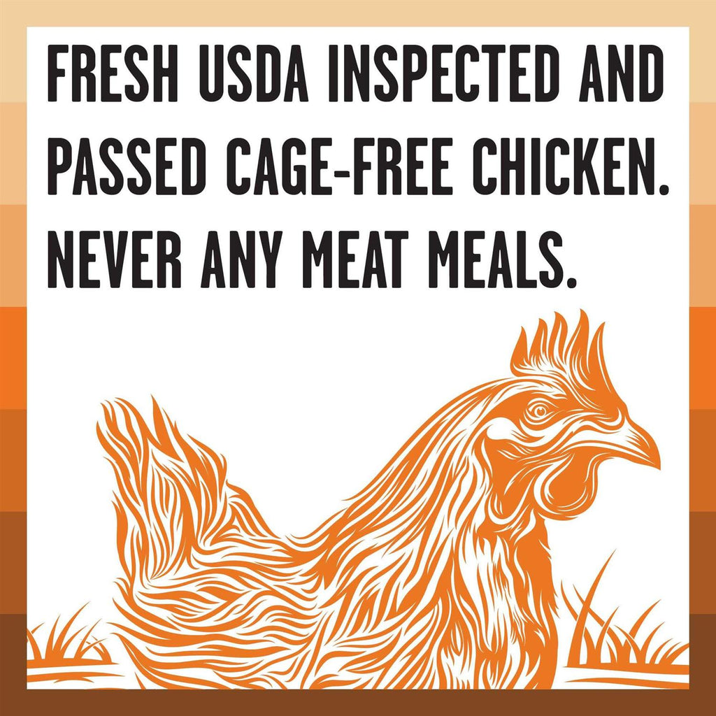 Chicken Recipe Dry Dog Food M974