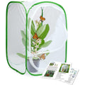 Insect and Butterfly Habitat Cage Terrarium N20425