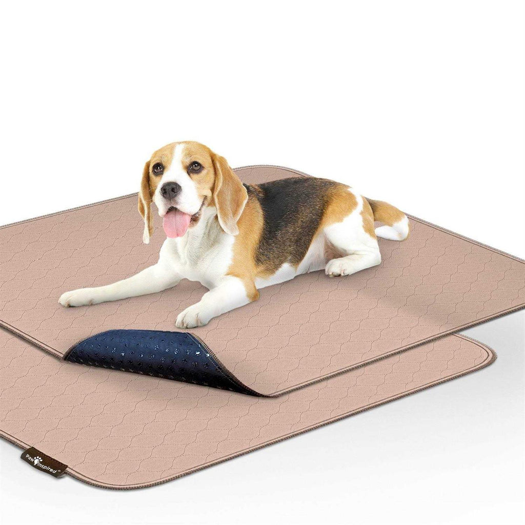 Washable Reusable Pee Pads for Dogs T161824