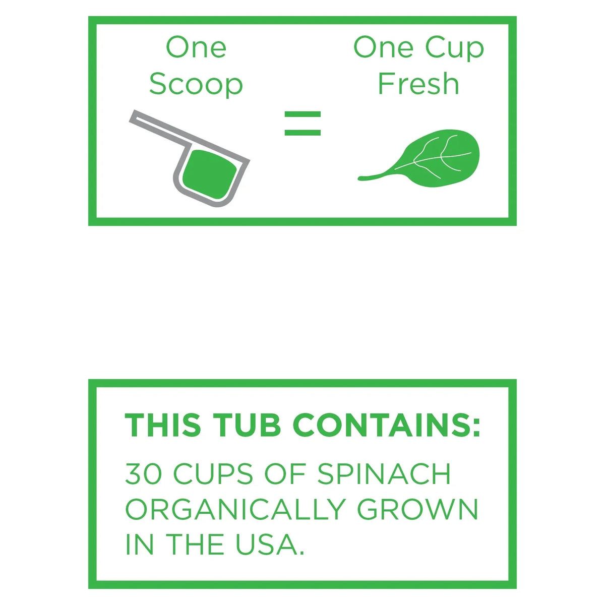 Organic Spinach Powder L42235