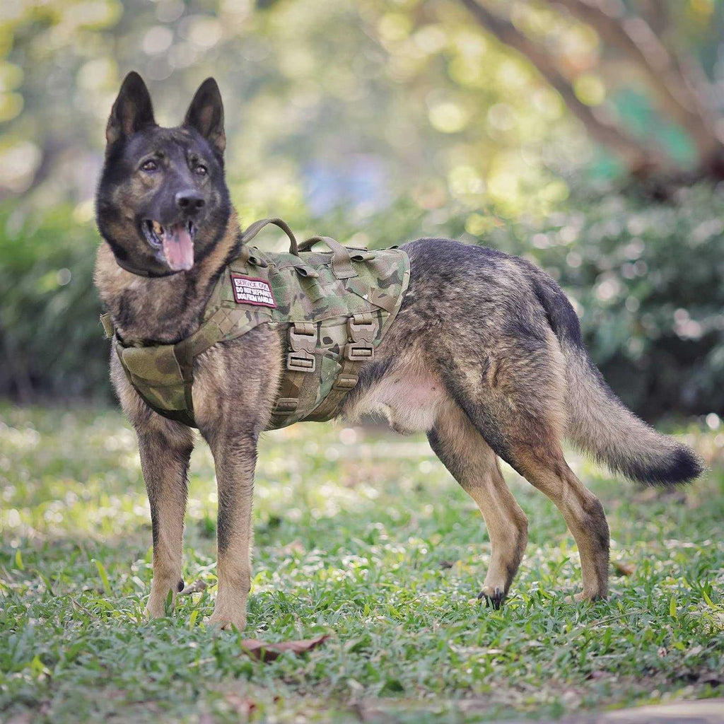 Adjustable Padded Tactical Dog Harness X860230