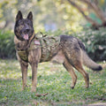 Adjustable Padded Tactical Dog Harness X860230