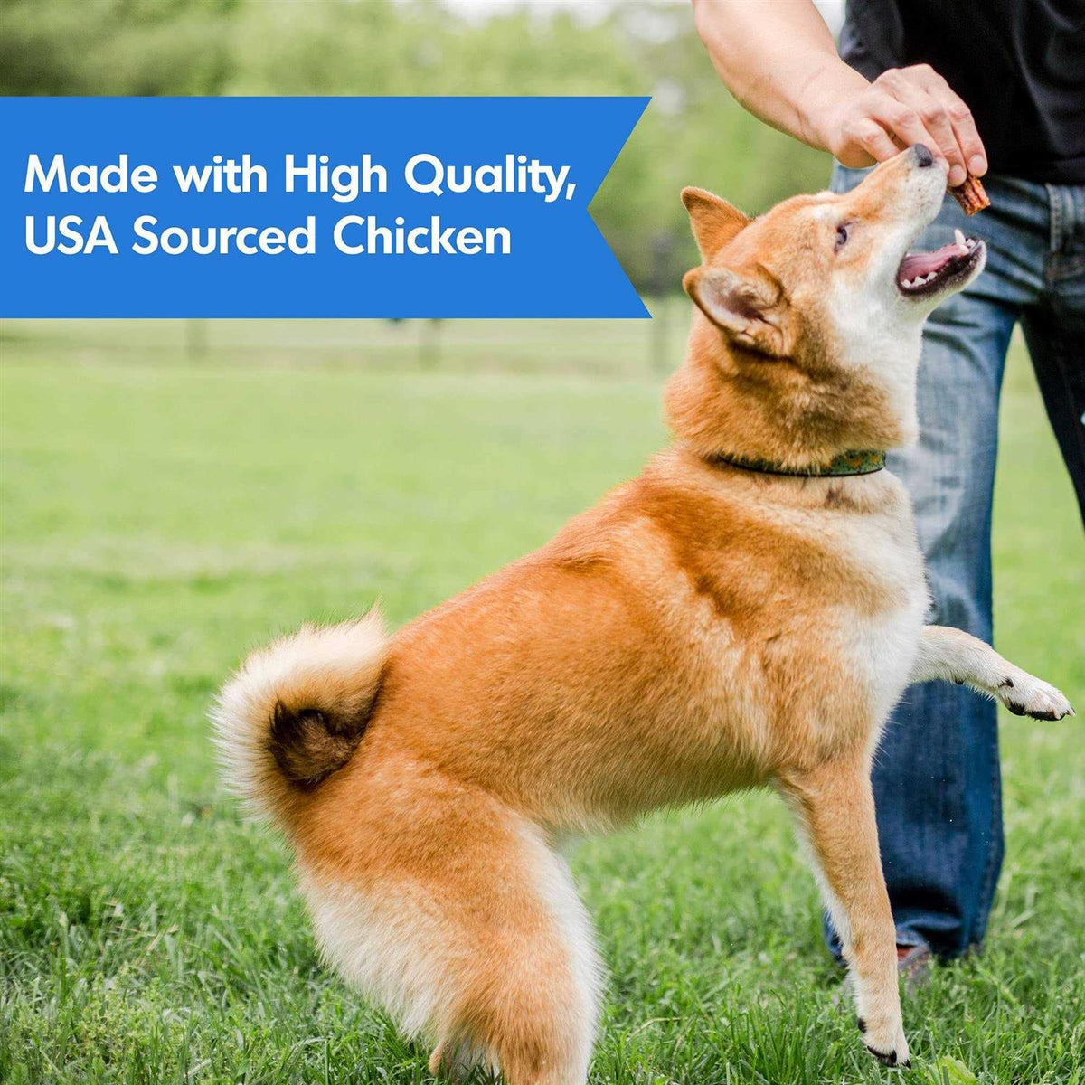 Chicken Hip & Joint Jerky Dog Treats A239136
