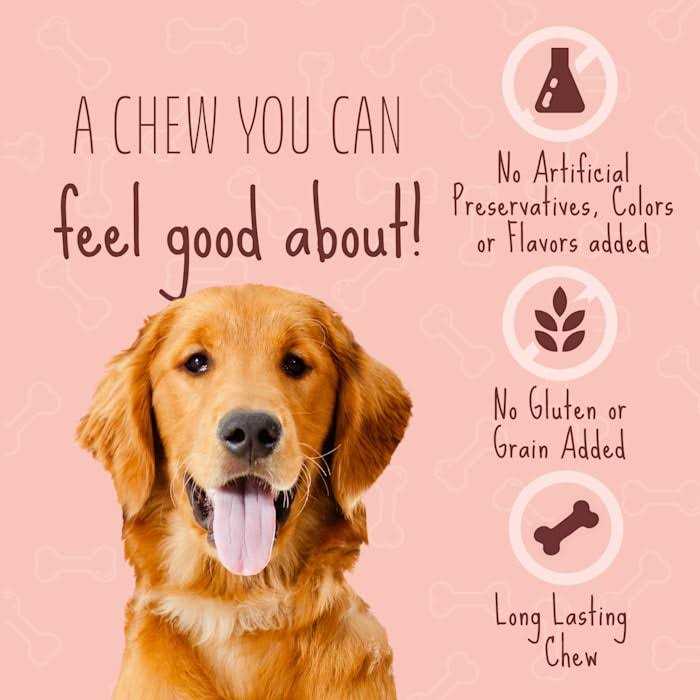 Real Dog Treats M5601