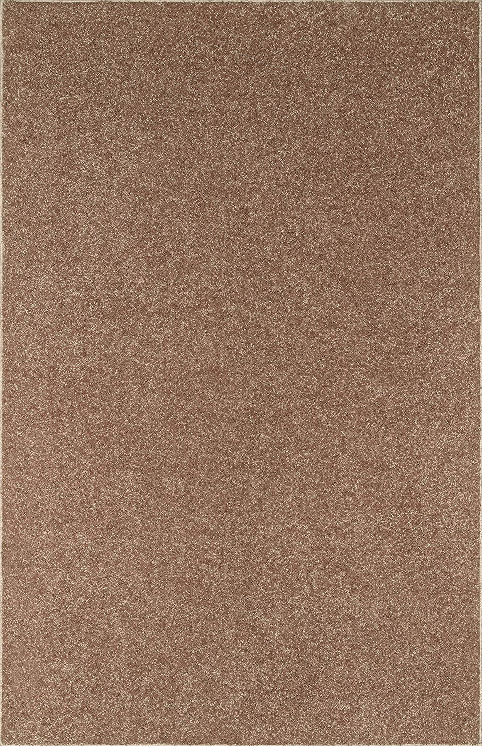 Brown 3' x 5' Indoor Area Rugs X150