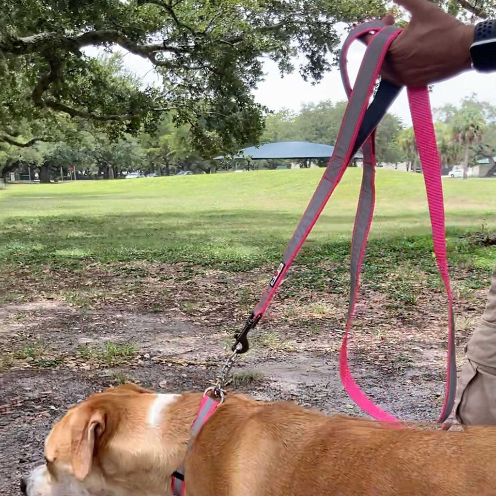 6 ft Dog Leash Z3953