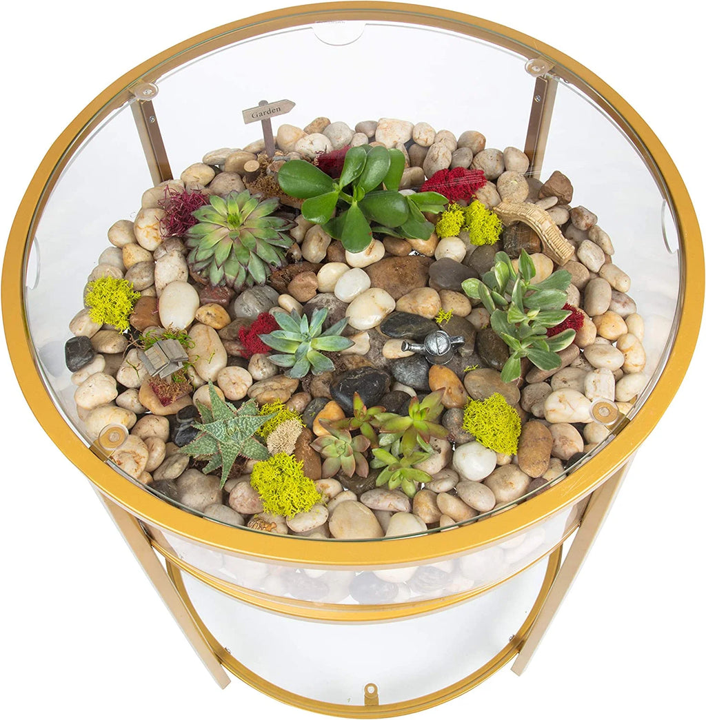 Round Terrarium Display End Table with Reinforced Glass R576