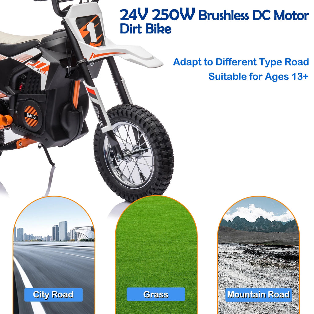 Electric Dirt Bike 24V 250W White J820