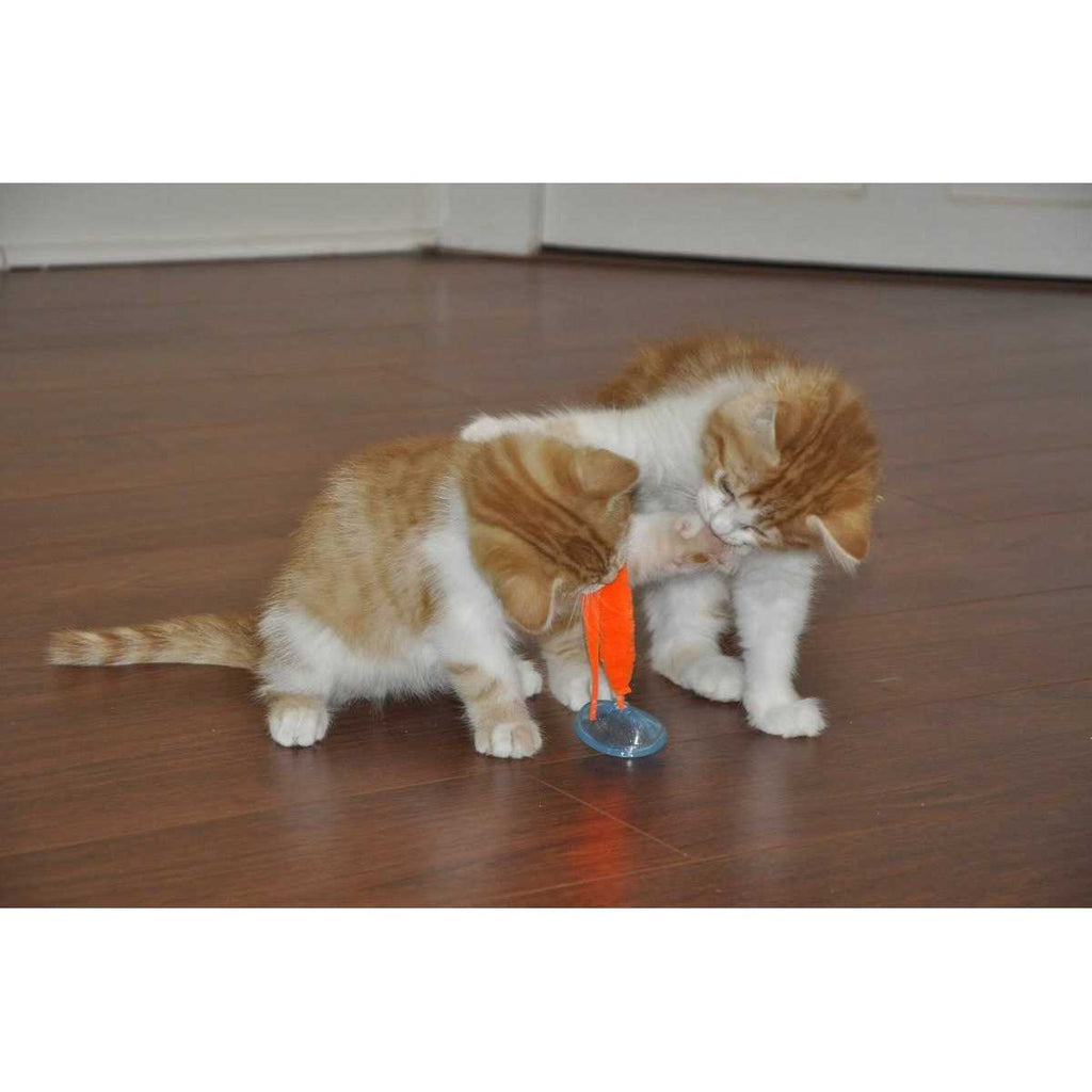 Cat Toy Y25954