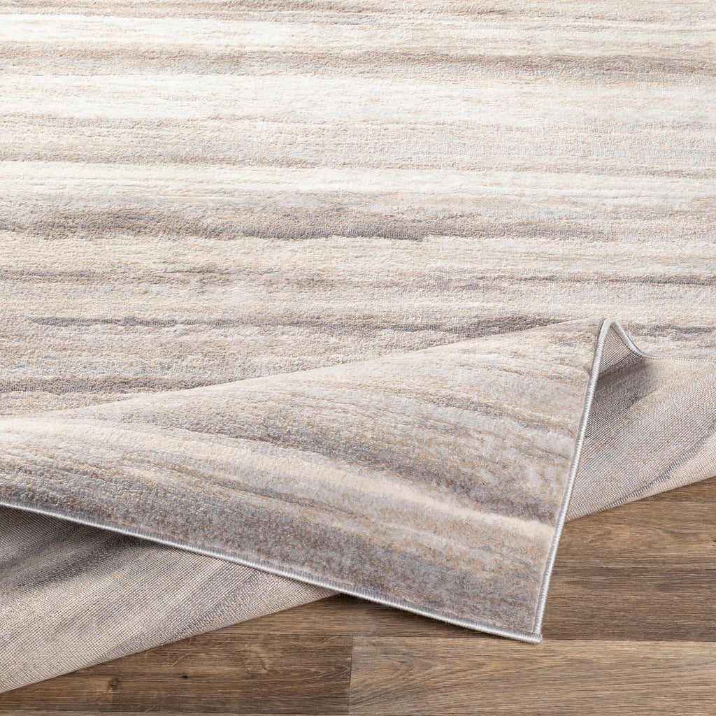 7x9 Medium Gray Area Rug E340