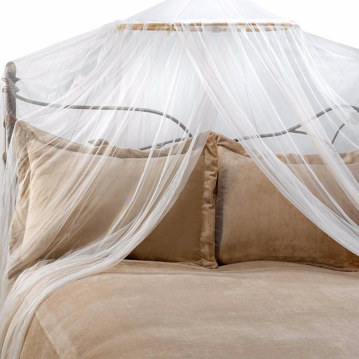 Ivory Canopy J96328