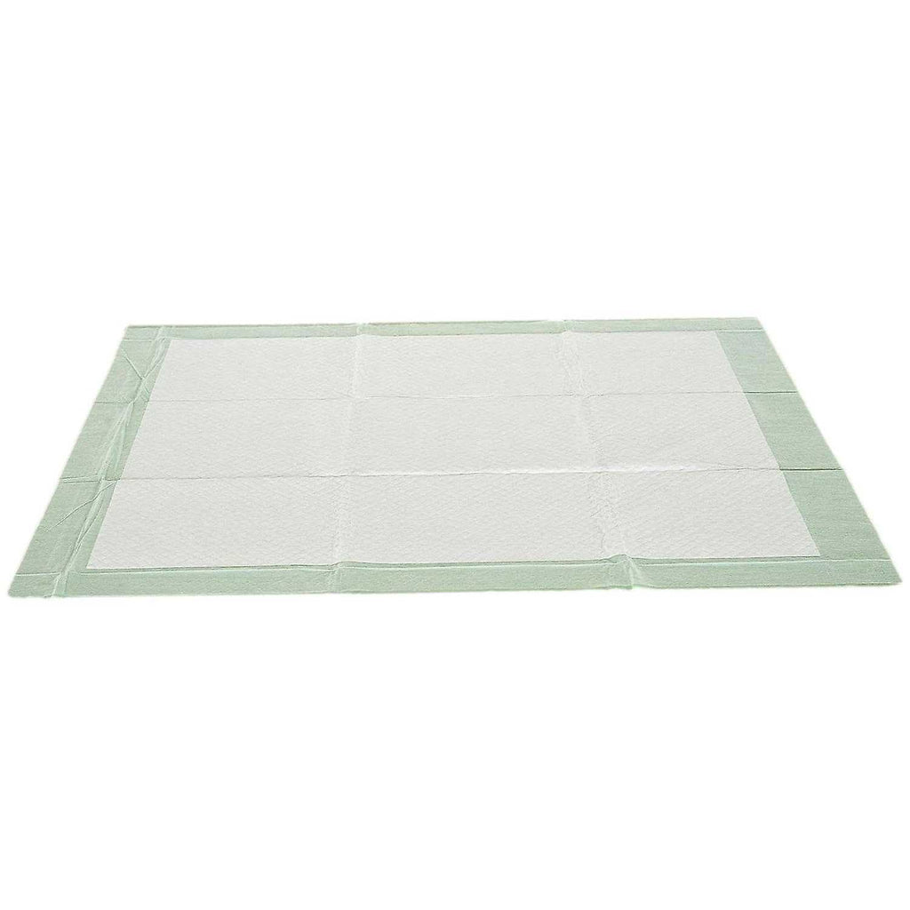 XL Unscented Dog Training Pads C92371