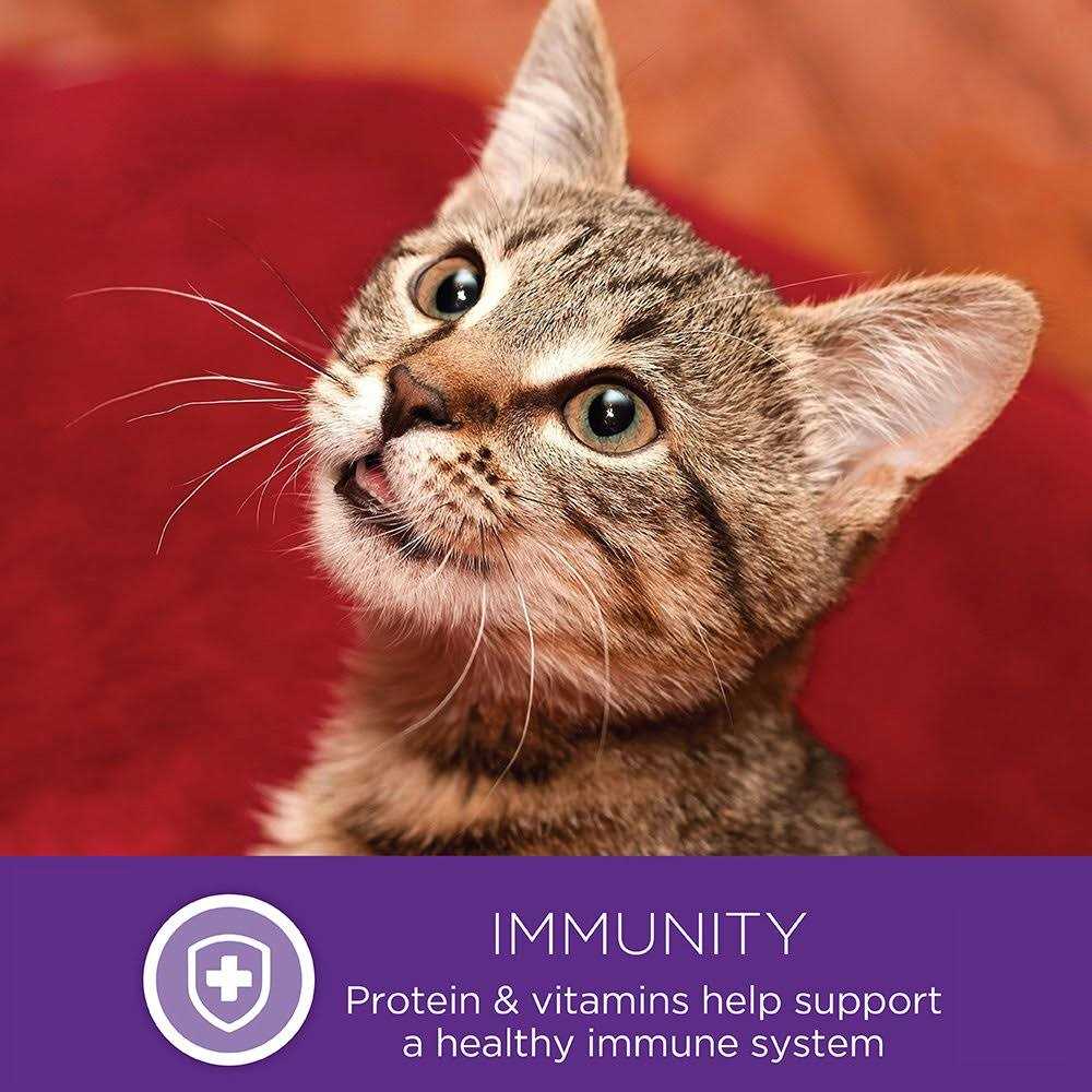 Natural Grain Free Gravy Cat Food Pouch E590