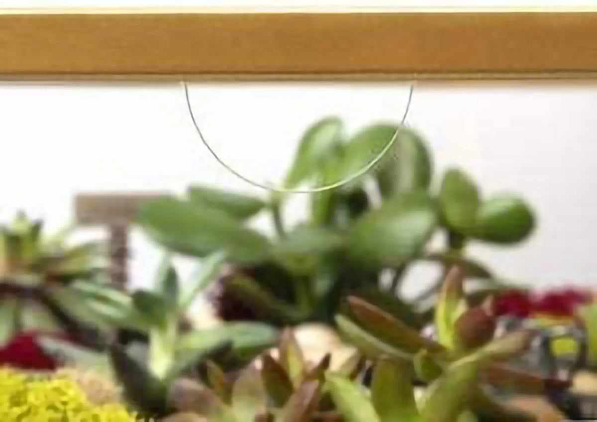 Round Terrarium Display End Table with Reinforced Glass R576