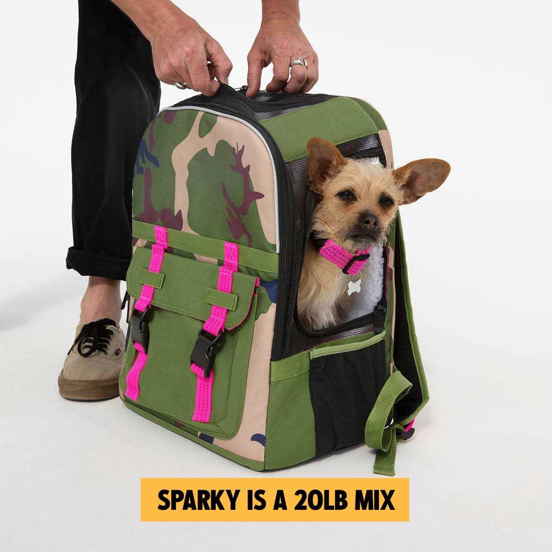 Airline-Compliant Pet Backpack Carrier Q707