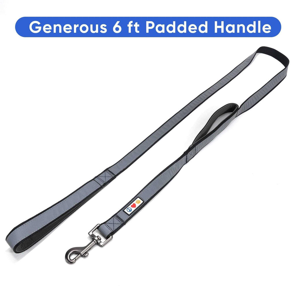 6 ft Dog Leash Z3953