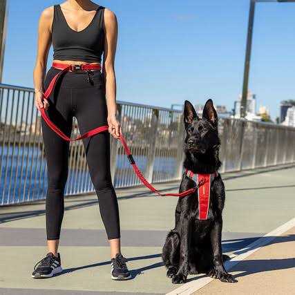 Road Runner Leash X1885
