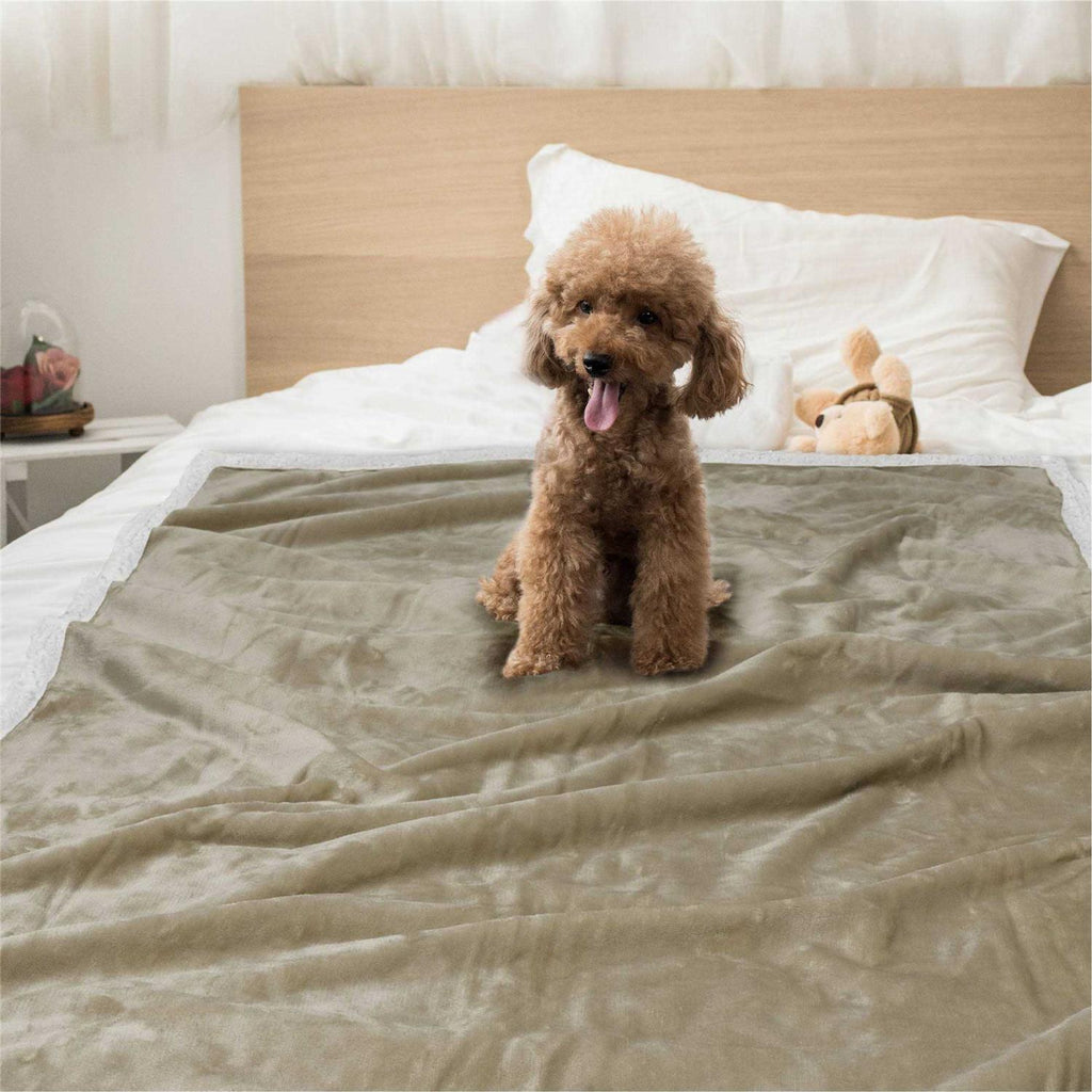 Dog Blanket Q400