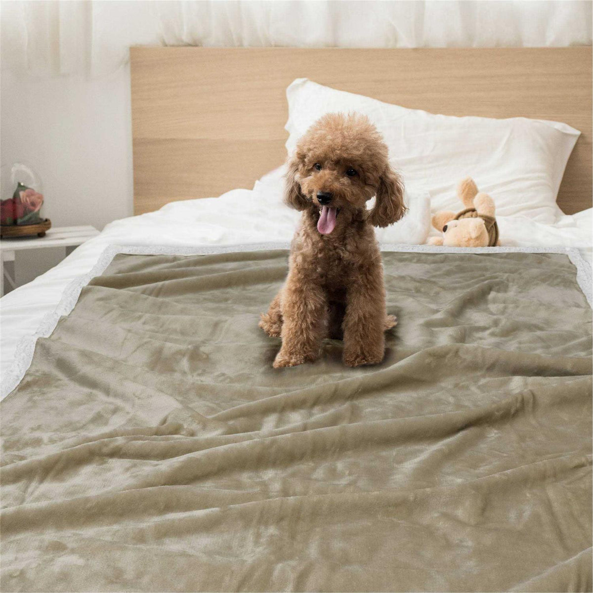 Dog Blanket Q400