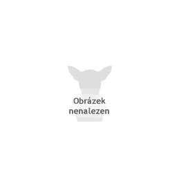 Grain Friendly Indoor Cat Food I16628