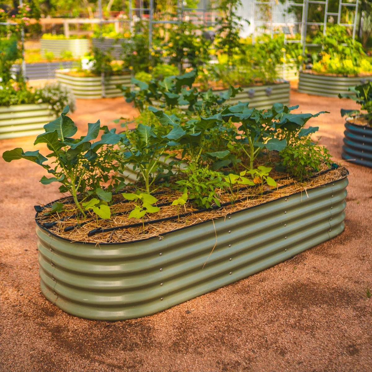 17" Tall 6 in 1 Metal Raised Garden Bed Z281