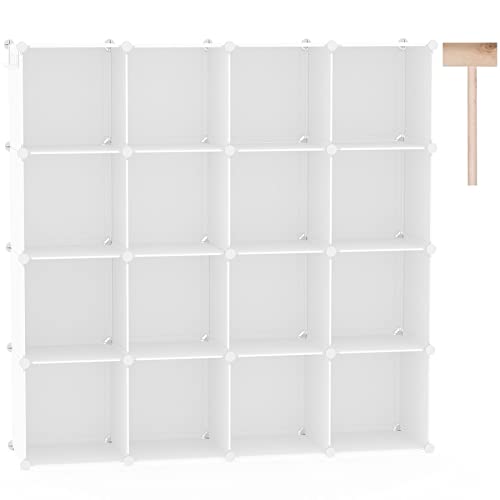 16 Cube Plastic Storage Organizer D56930