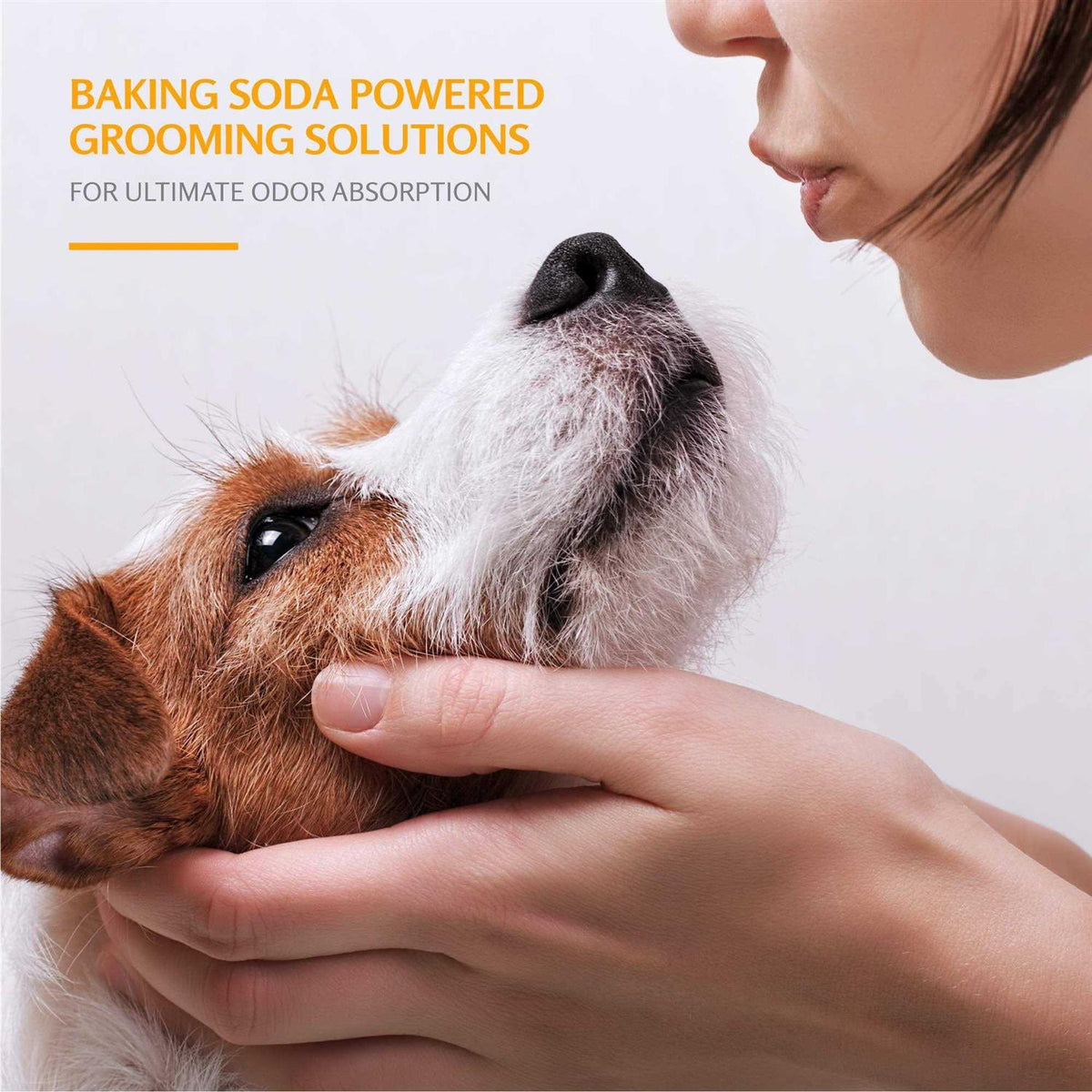 Deodorizing Spray for Dogs Z441